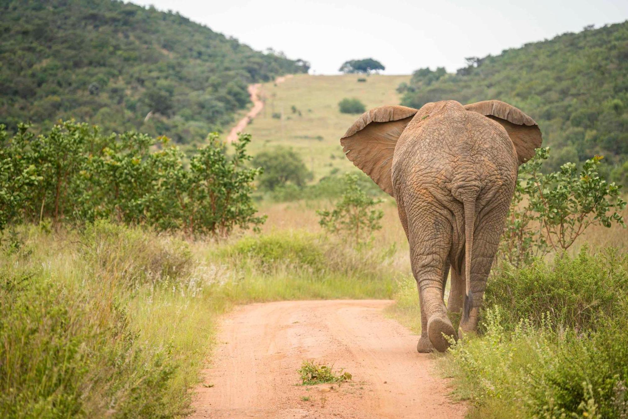 Ekuthuleni Lodge Strand Eksteriør bilde